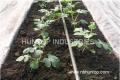 Seeking AGRICULTURE IRRIGATION Sales Business Development Manager Worldwide