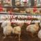 poultry-farm-equipment