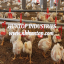 Poultry farm equipment