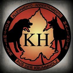 Allevamento Rottweiler & Pastore Belga Malinois "aus der Krummholz" - PENSIONE CANI GATTI TORINO