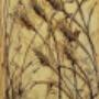 Spighe salentine-tecnica mista su tela-dim. 30x60