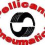 PELLICANO' PNEUMATICI