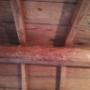legno trattato