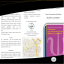 Psico giuridica: MMPI-A e MMPI-2
