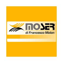 Mo.Ser. - Francesco Molon