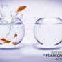 Coaching