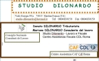 Dilonardo Mariano Consulenza Del Lavoro