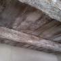 TAVOLATO SOFFITTO SPESS SBIANC