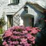 Nab Cottage