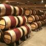 cantine