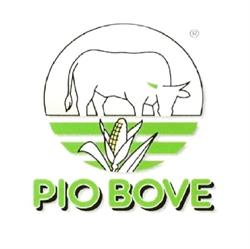 Società Agricola Pio Bove S.S.