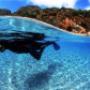 Snorkeling nell'acqua cristallina
