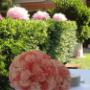 Wedding Planner - Matrimoni organizzati da Le Rêve