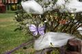 Eco Wedding quando il matrimonio diventa verde