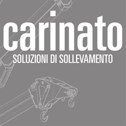 Carinato Soluzioni di sollevamento