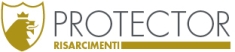 Protector di Roberto Berardi