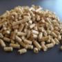pellet