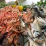 pesce sempre fresco