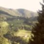 panorama 2