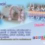 HOLIDAY 7