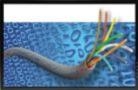 Technet Computer