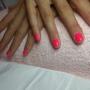 Estetica Wellness  Body