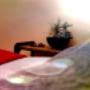 Estetica Wellness  Body