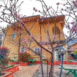 Bed and Breakfast Pieffe