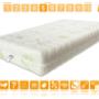 Lattice Sevenlife 18