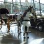 Carrozza Matrimonio