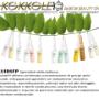 KOKKOLE BABOR CENTER GROSSETO