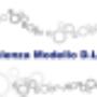 consulenza 231