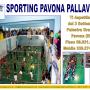 SPORTING PAVONA PALLAVOLO TI ASPETTIAMO 2012/13