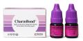 CharmBond DentKist Ricambio 2x5ml Set