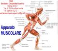I CRAMPI MUSCOLARI. COSA SONO E COSA FARE