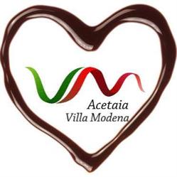 Villa Modena SRL