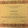 Diploma Riflessologia Plantare Integrata