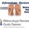 Riflessologia-Plantare