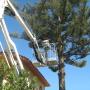 messa in sicurezza prima dell'abbattimento