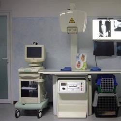 Veterinario Dr. Stefano de Boni