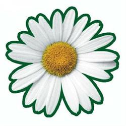 Ambienti Puliti Impresa di Pulizie