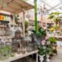 Gallery Professionale