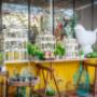 Gallery Professionale