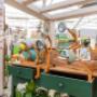 Gallery Professionale