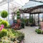 Gallery Professionale