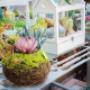 Gallery Professionale