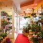 Gallery Professionale