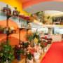 Gallery Professionale