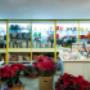 Gallery Professionale