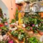 Gallery Professionale